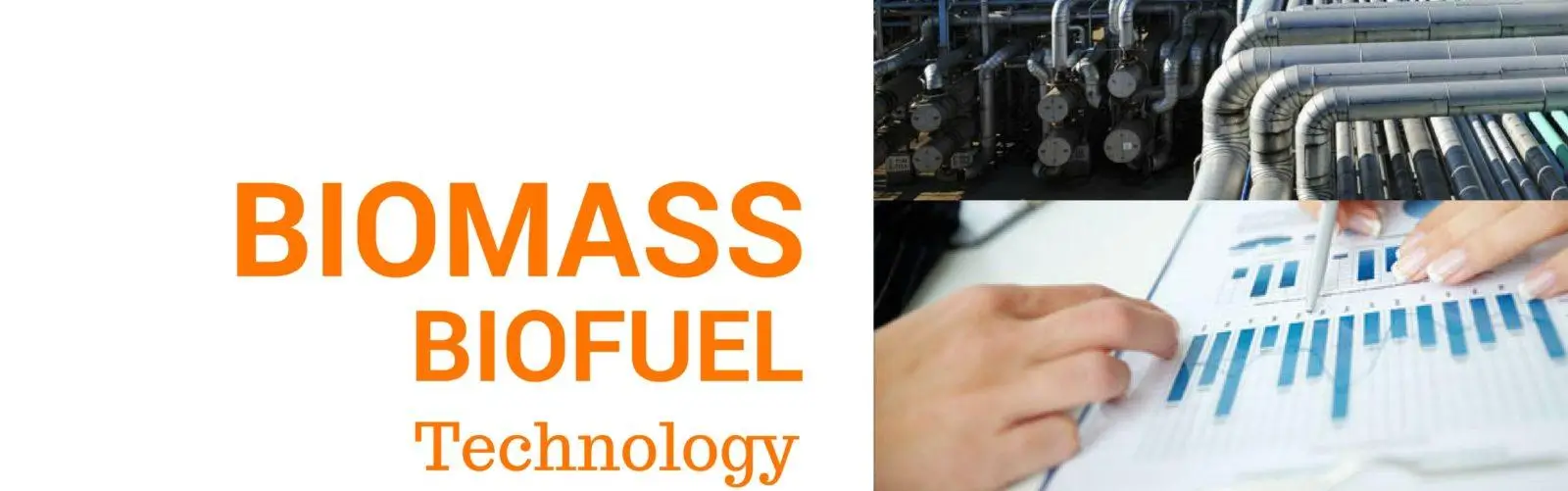 Biomass to Biofuel